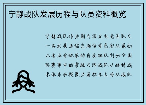 宁静战队发展历程与队员资料概览